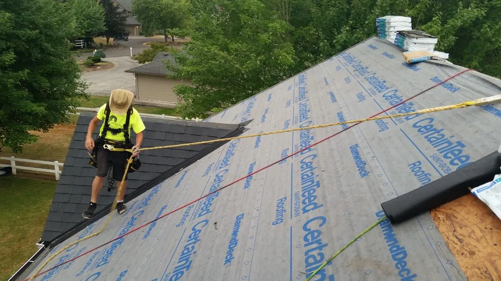 IBEX Roof - Photo 9