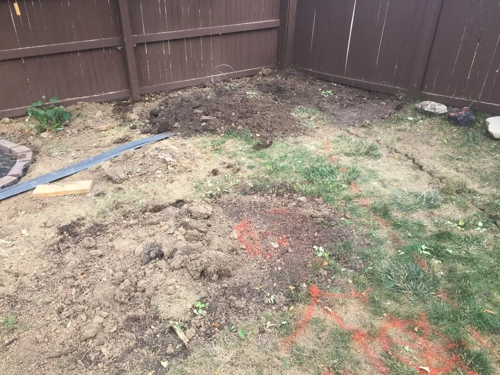 Denver Colorado Landscaping by American Roof Scapes - Photo 7