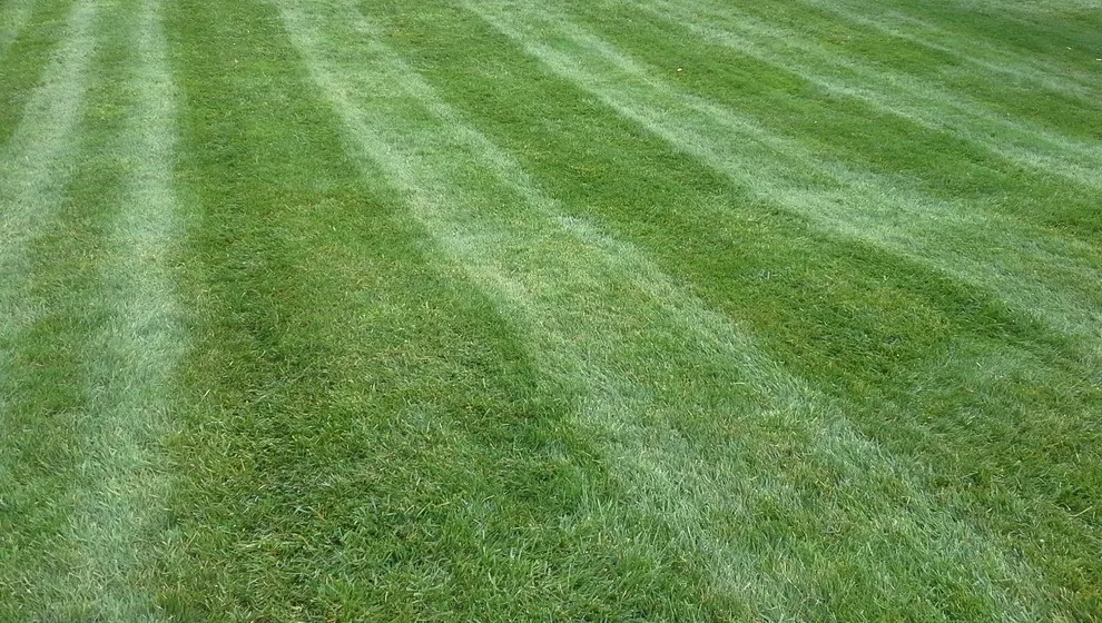 Fair Lawn Care Solutions LLC - Photo 6