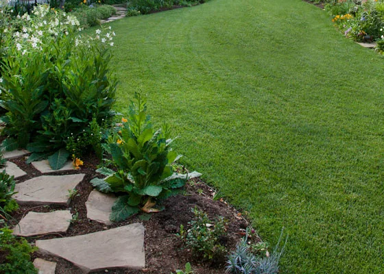 Fair Lawn Care Solutions LLC - Photo 7