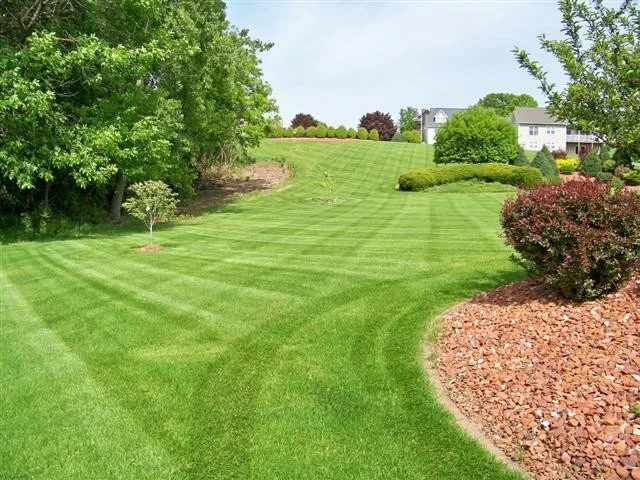 Fair Lawn Care Solutions LLC - Photo 5