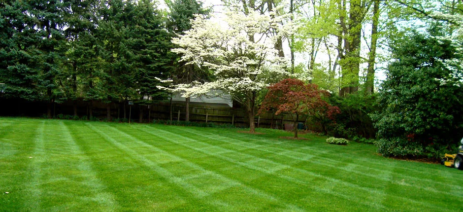 Fair Lawn Care Solutions LLC - Photo 9