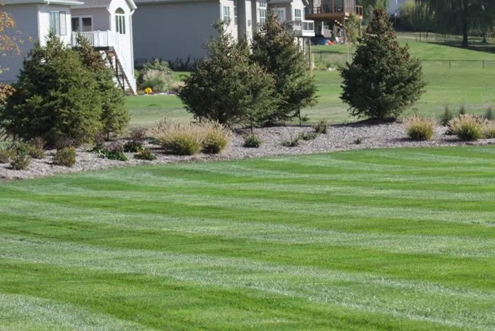 Fair Lawn Care Solutions LLC - Photo 8