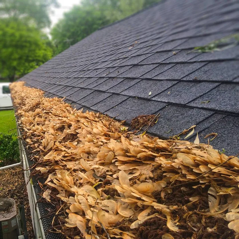 LeafGuard By Midlands Home Solutions - Photo 11