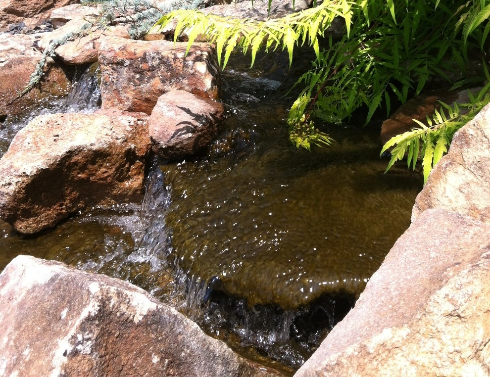Chuck B Edwards Landscape Architecture & 3D - Photo 12