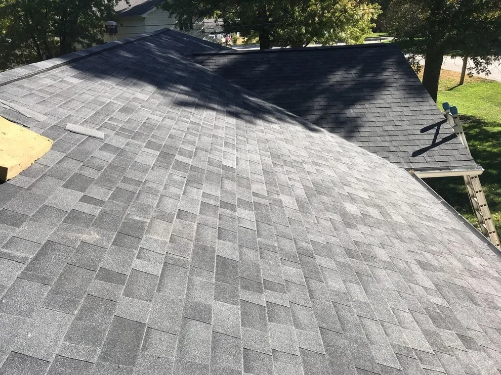 Nonsense View by Appelhanz Roofing - Photo 10