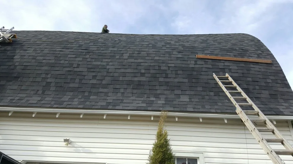 Nonsense View by Appelhanz Roofing - Photo 4
