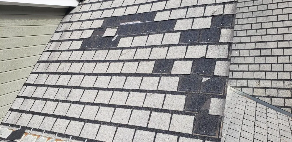 Metal Roofing Enhancement by Weather Shielders - Photo 7