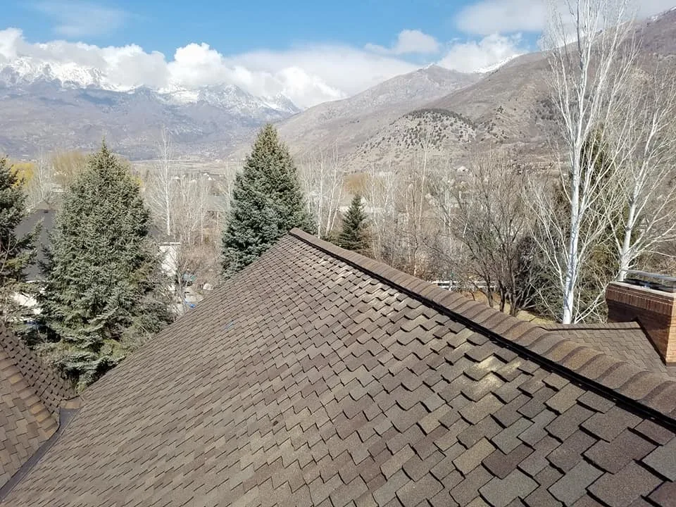 Fresh Mosaic by Patriot Roofing & Construction - Photo 3