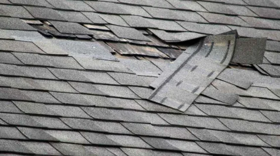 Straightline Design - Photo 10