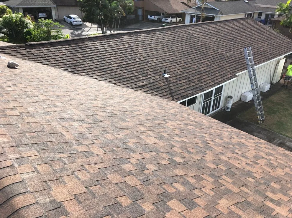 True Home Hawaii - Photo 10