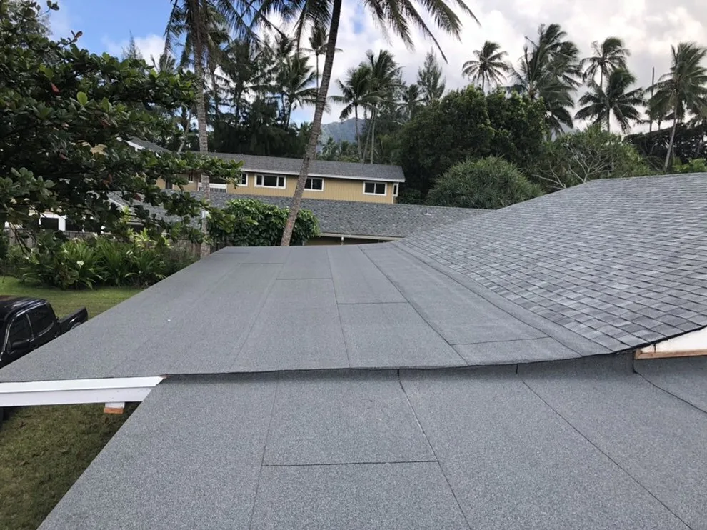 True Home Hawaii - Photo 12