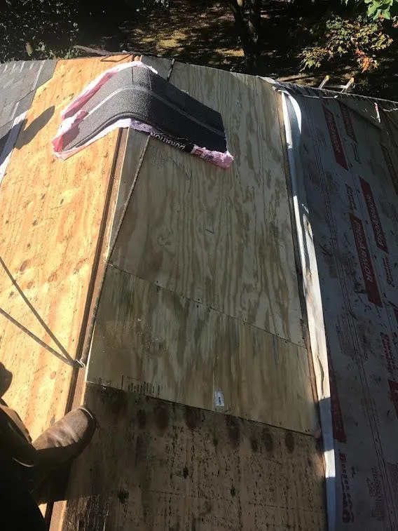 Alpine Ridge Construction LLC - Photo 12