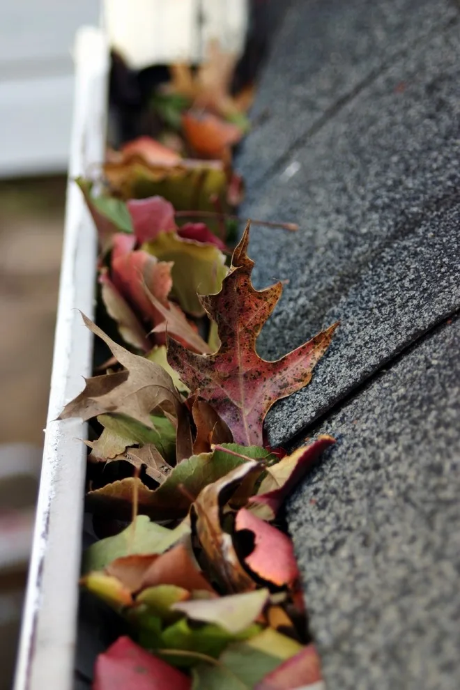 Garden State Gutter Cleaning - Photo 4
