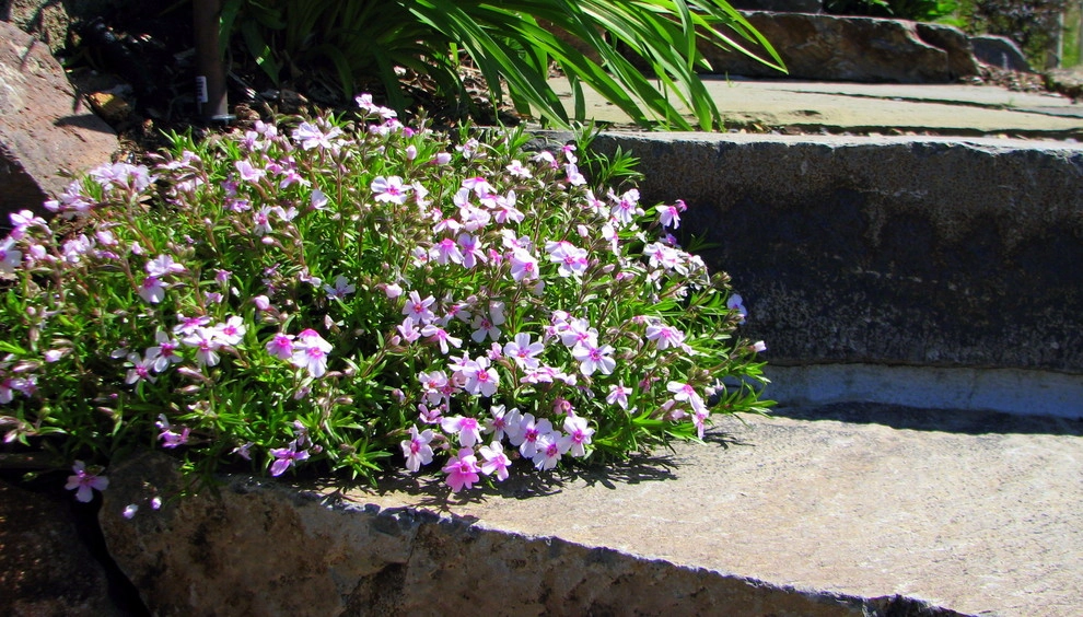 Chuck B Edwards Landscape Architecture & 3D - Photo 13