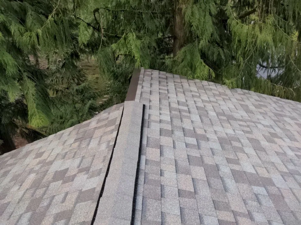 Redmond Skylit Asphalt Roofing by RoofSmart - Photo 7