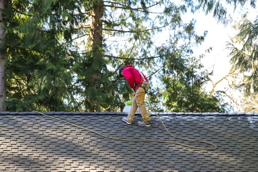 Roof Maintenance and Moss Elimination by Valentine Roofing - Photo 3