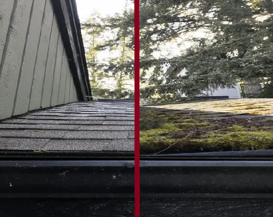 Roof Maintenance and Moss Elimination by Valentine Roofing - Photo 6