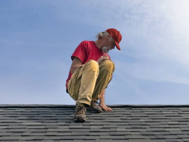 Roof Maintenance and Moss Elimination by Valentine Roofing - Photo 4