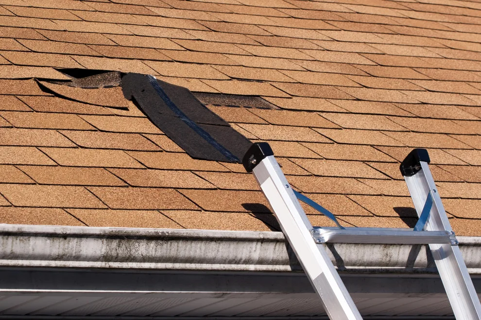 Roof Restoration by Lion Roofing Company - Photo 4
