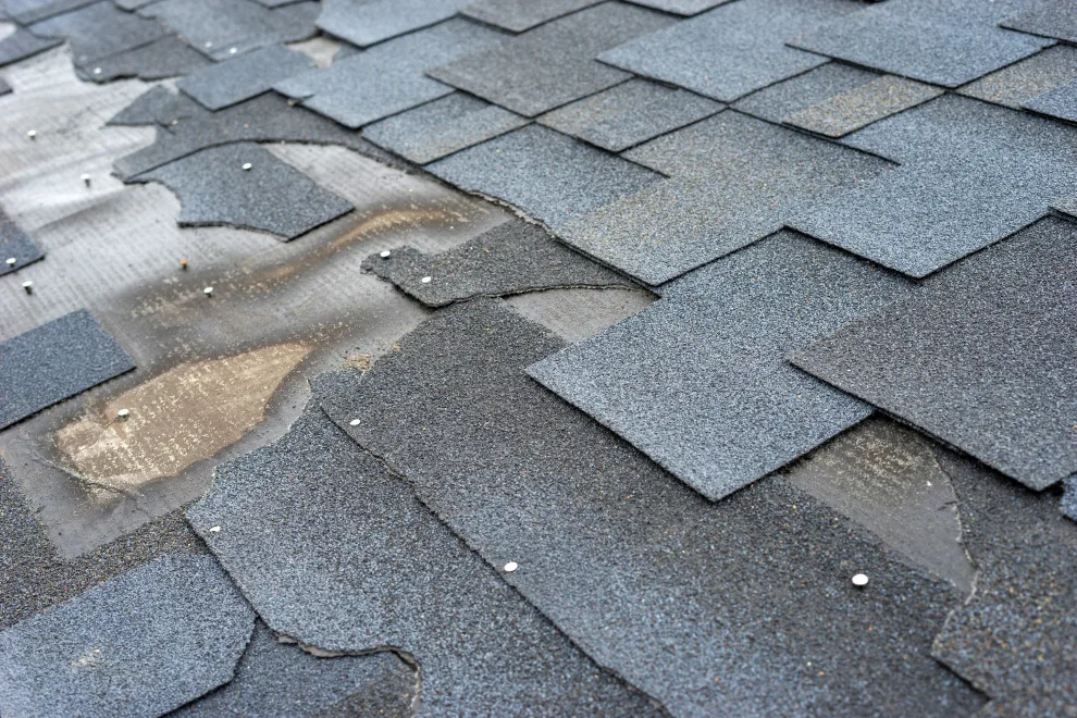 Roof Restoration by Lojek Roofing Company Chicago - Photo 4