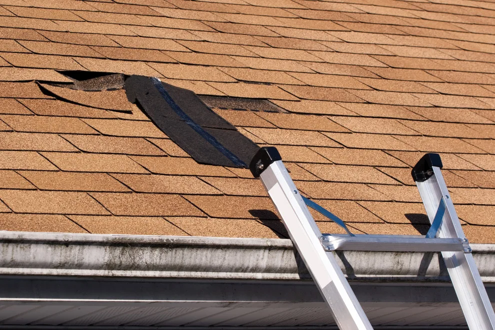 Roof Restoration by Lojek Roofing Company Chicago - Photo 5