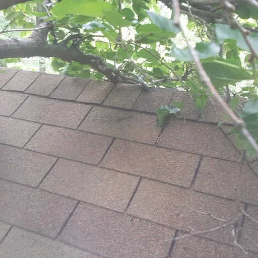 Leak repair for roofs by Restoreline INC - Photo 3