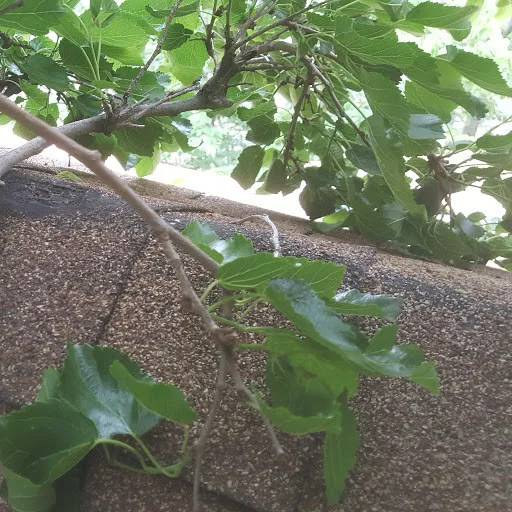 Leak repair for roofs by Restoreline INC - Photo 2