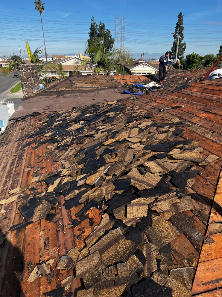 Roof Renovation by First Roofing Contractor - Photo 27