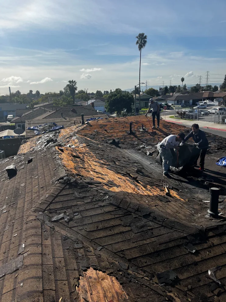 Roof Renovation by First Roofing Contractor - Photo 17