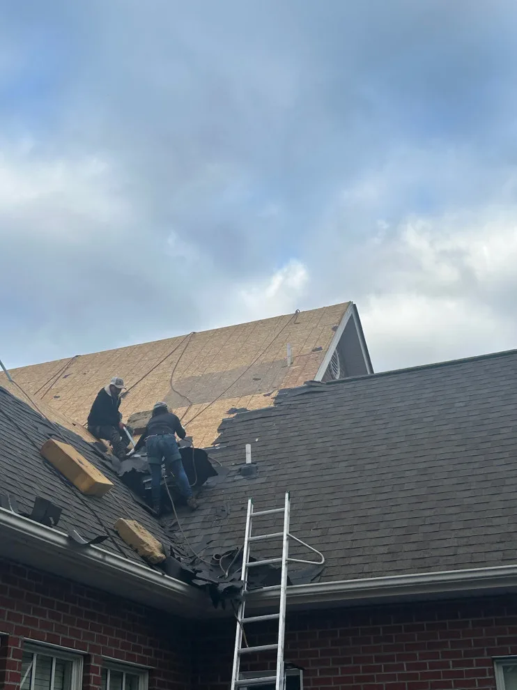 Roof Renovation by Southeast Roofing And Exteriors LLC - Photo 54