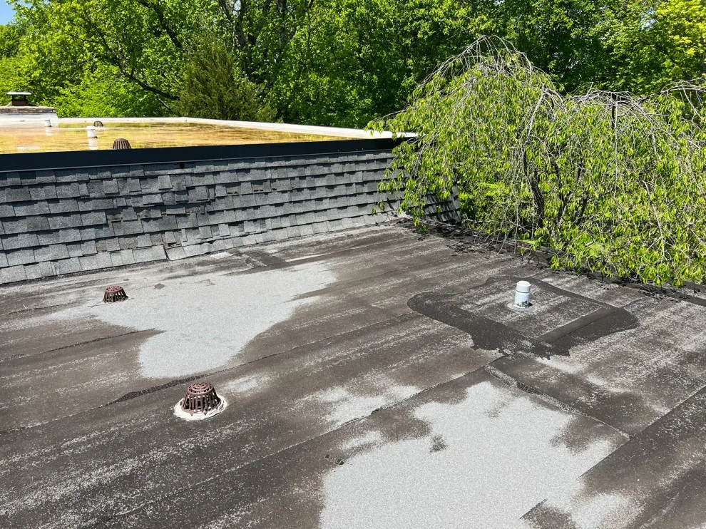 Shingle and TPO Roof Replacement by Roof MD - Photo 14