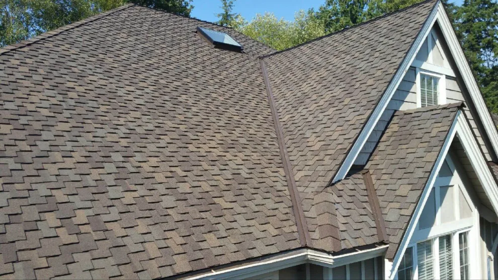 Roof Renovation by Lion Roofing Company - Photo 3