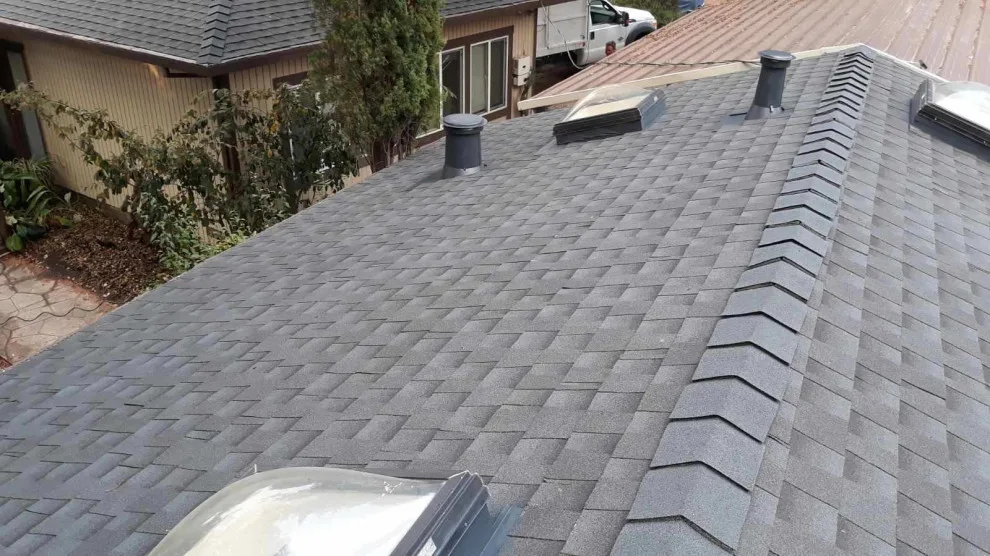 Skylit Roof by Moctezuma Roofing Inc. - Photo 4