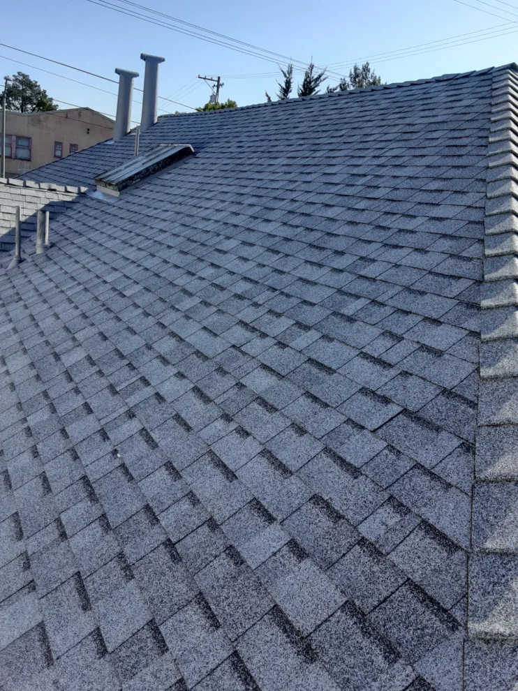 Skylit Roof by Moctezuma Roofing Inc. - Photo 5
