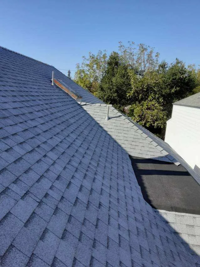 Skylit Roof by Moctezuma Roofing Inc. - Photo 6