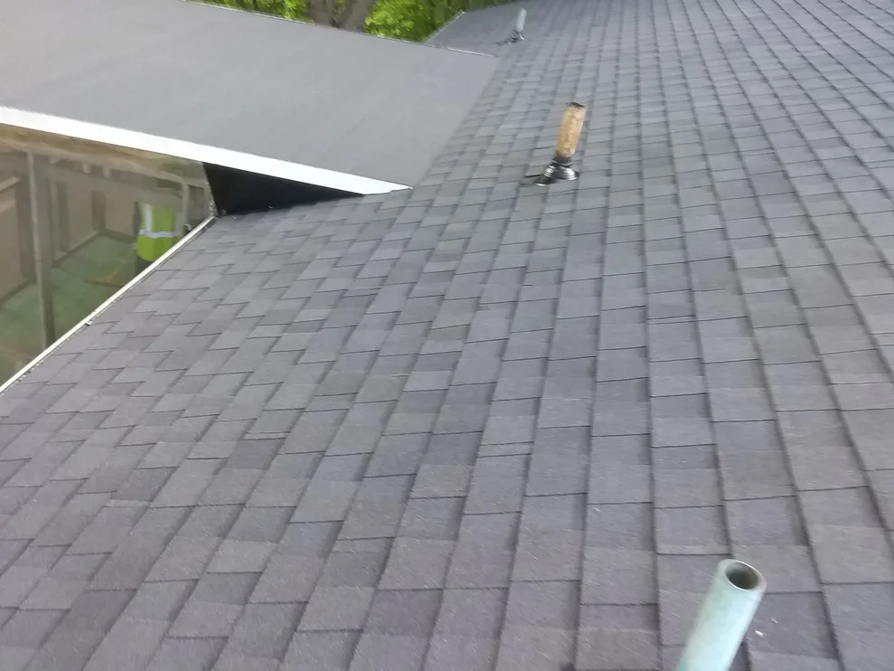 Gerson Roofing And Tree Services LLC - Photo 3