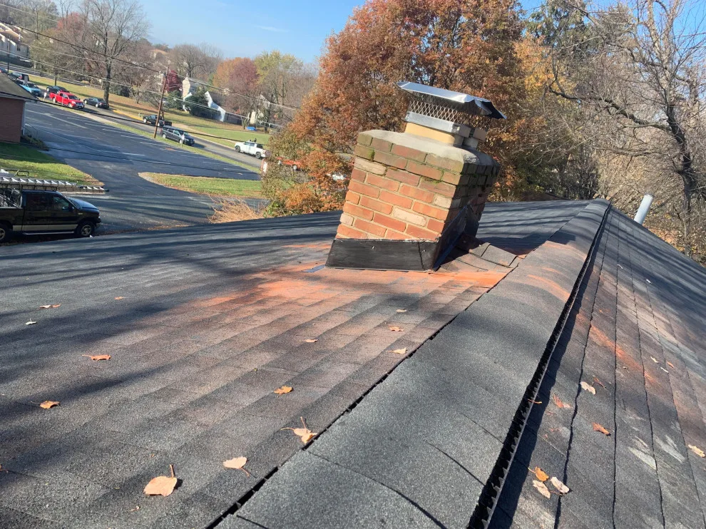Gerson Roofing And Tree Services LLC - Photo 13