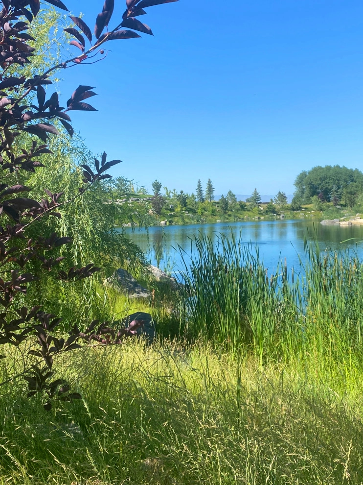 Lakeside by Chuck B Edwards Landscape Architecture & 3D - Photo 13