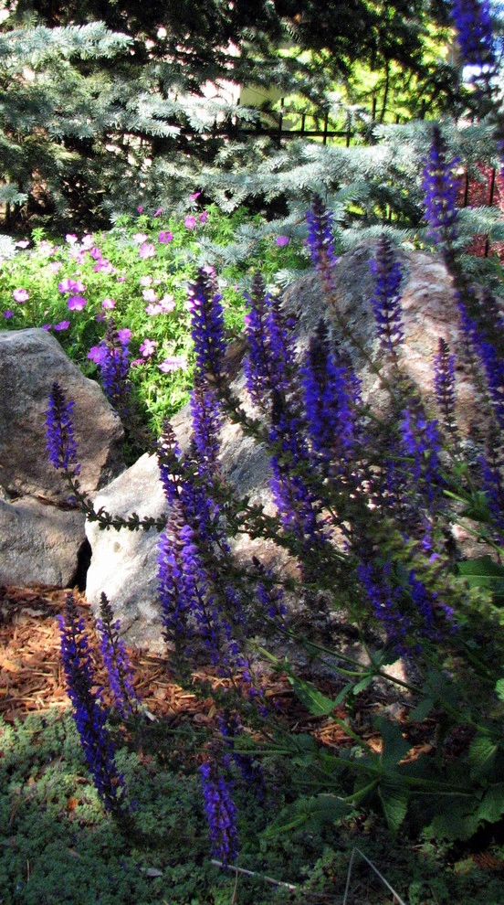Riverside Village - The Woods by Chuck B Edwards Landscape Architecture & 3D - Photo 7