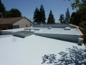 Roof Protection and Moisture Prevention by SRS / SYNTHESIS-Design.Build.Restoration - Photo 14