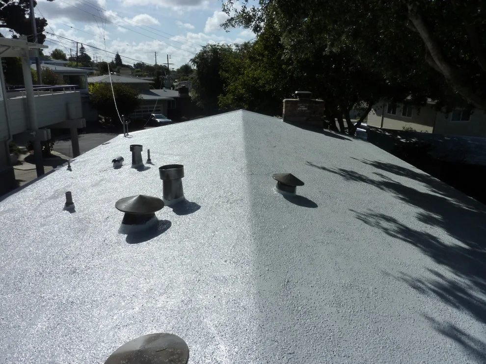 Roof Protection and Moisture Prevention by SRS / SYNTHESIS-Design.Build.Restoration - Photo 11