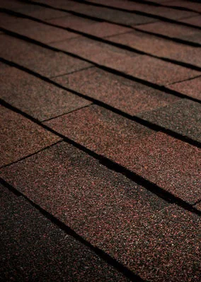 Vero Beach Shingle Roof Replacement by Modtek Roofing Inc. - Photo 6