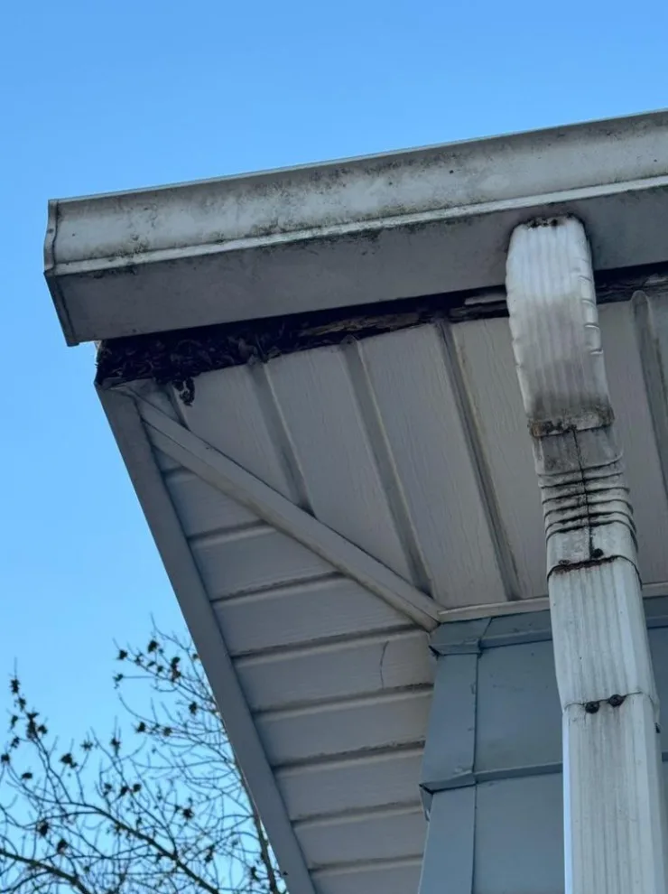 Eaves Replacement by Modern Exterior Roofing - Photo 4