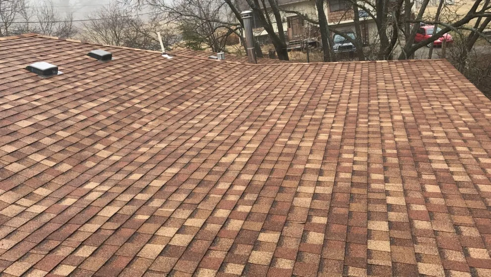 TAMKO - Heritage - Golden Harvest by Appelhanz Roofing - Photo 4