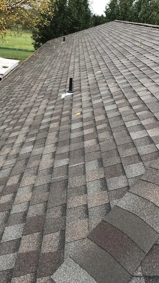 TAMKO - Legacy - Authentic Wood by Appelhanz Roofing - Photo 2