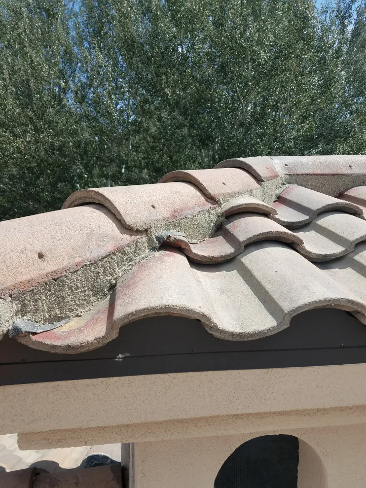 Roof Tile Restoration by American Roofing And Restorations - Photo 7