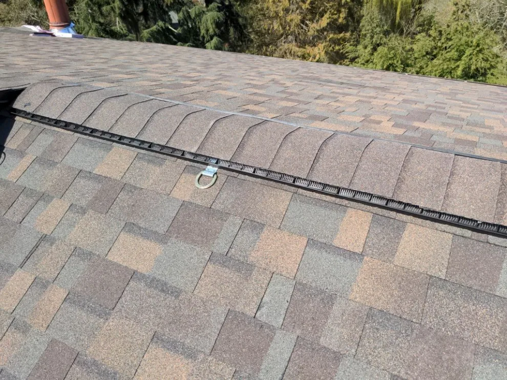 Asphalt Roofing for University Place by RoofSmart - Photo 18