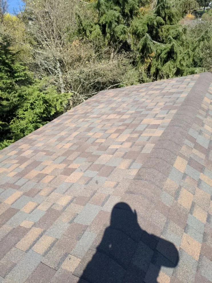 Asphalt Roofing for University Place by RoofSmart - Photo 17