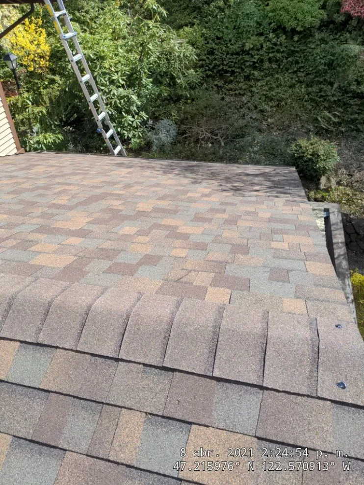 Asphalt Roofing for University Place by RoofSmart - Photo 4